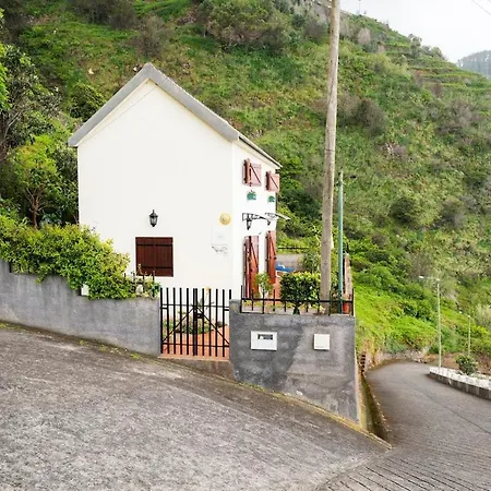 Vakantiehuis Whale's *