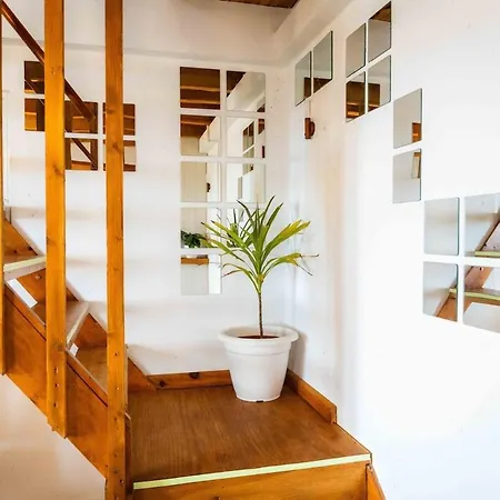 Whale's * ポルト・モニス