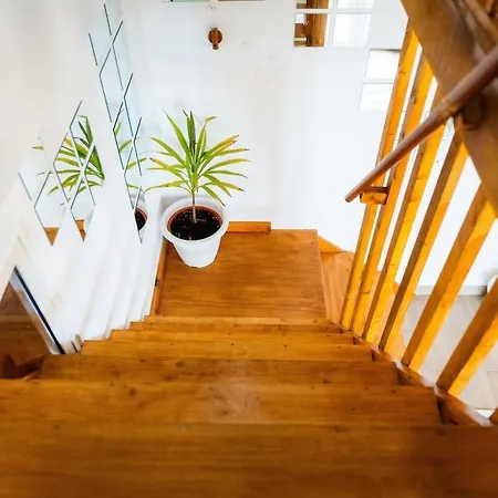 Vakantiehuis Whale's