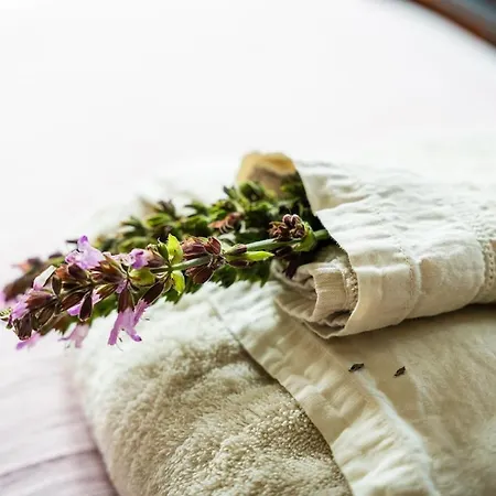 Vakantiehuis Whale's *