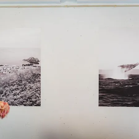 Whale's Сasa de vacaciones Porto Moniz