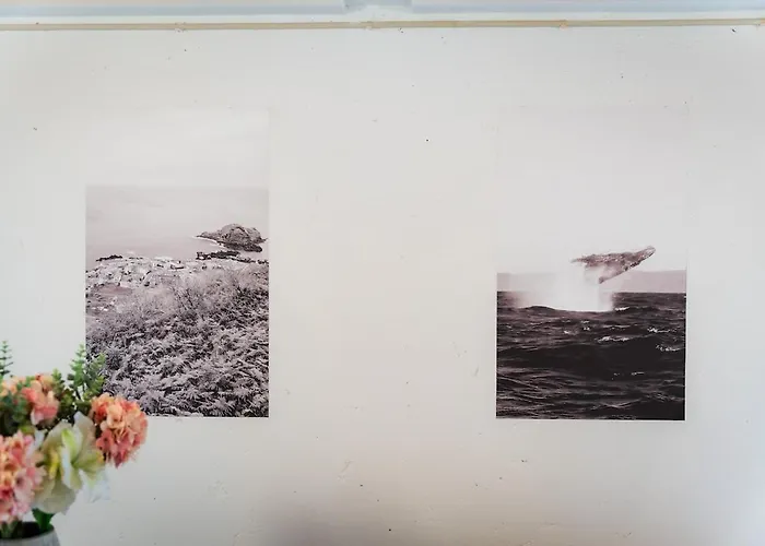 Whale's Dom wakacyjny Porto Moniz