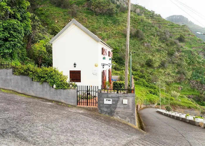 Semesterbostad Whale's *