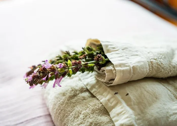 Dom wakacyjny Whale's *